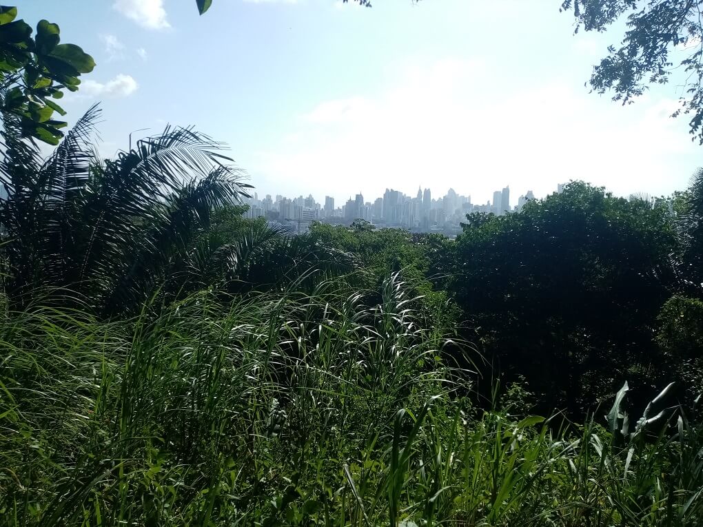 Parque Metropolitano-Panama City_ab-nach-panama.de Parque Metropolitano Panama City